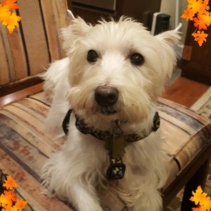 Meet your Posher, Dee